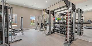 Alta Surprise Gallery 26