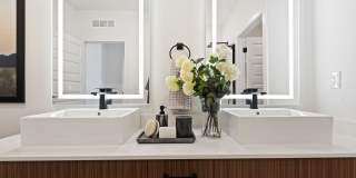 The Jaxon Gallery 11