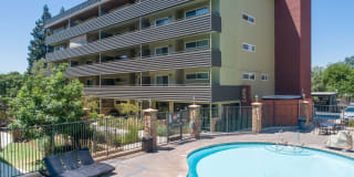 Vista Torre Gallery 20