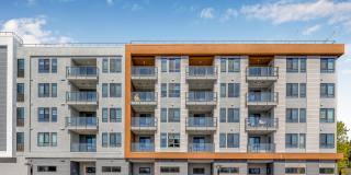 The Tolman Gallery 2