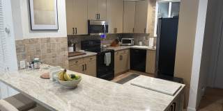 4619 Poinciana Street Gallery 2