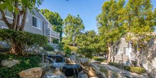 Harborview Gallery 14