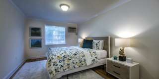Sunny 1BR in Brookline | Heat & Hot Water Included | 9/1 Gallery 4