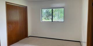 White, June K. (Kohala) Gallery 24