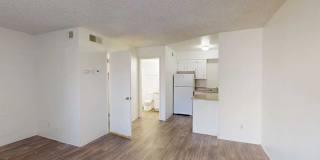 San Rivello Gallery 15