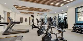 Maison Green Gallery 20