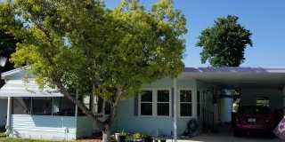 55 Koala Bear Path Gallery 1