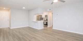 The Julep Gallery 57