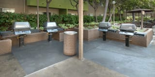 Hampshire Place Gallery 35