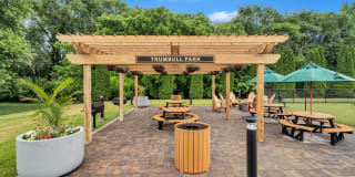 Stuart Hill Gallery 20