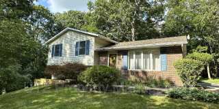 656 Alpine Lane Gallery 1