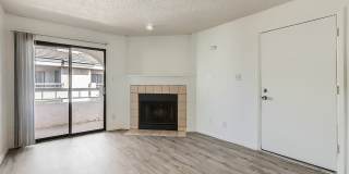 Rise on Cactus Gallery 84