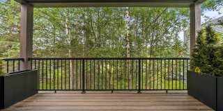 1785 Evangeline Lane Gallery 39