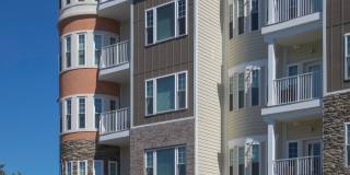 Aqua on 25th Gallery 25