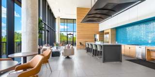 Lamar Union Gallery 47