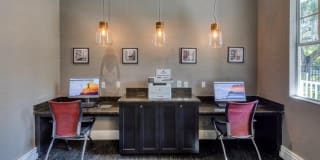 RiverTree Gallery 10