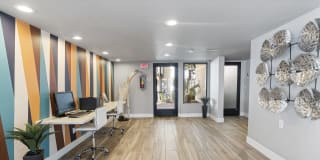 Fountain Palms Gallery 22