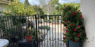 2244 Cannon Gate Gallery 21