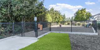 Element 170 Gallery 8