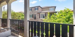 3647 E HORACE Drive Gallery 29