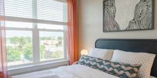 Alexan Waltham Gallery 21