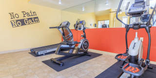 Lemon & Pear Tree Apartments Gallery 13