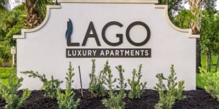 Lago Gallery 18
