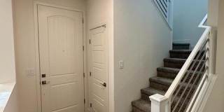 3645 Portici Lane Gallery 5