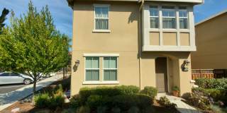Luxury 4 bedroom 3 bath townhouse at The Montage Gallery 1