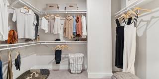 NOVEL Scotts Addition Gallery 48