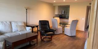 11 Palma Drive Gallery 6