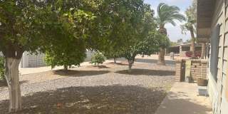 Sun Lakes Furnished rental Gallery 23