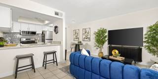 Celeste Glendale Gallery 15