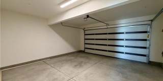 9643 Babaco Gallery 17