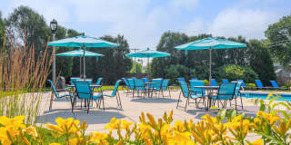 Ravinia Apartments Gallery 4