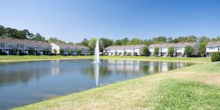 6794 ARCHING BRANCH Circle Gallery 18