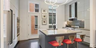 447 N McClurg Court Gallery 16