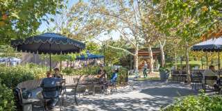 Crystal Place Gallery 40