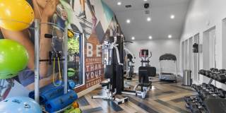 Fusion Orlando Gallery 22