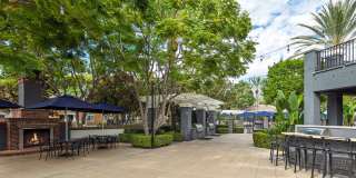 Homecoming At Terra Vista Gallery 41
