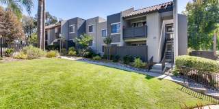 Avenue at San Marcos Gallery 40