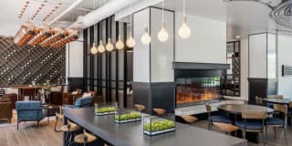 Northlight Gallery 20