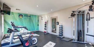 Vida Gallery 8