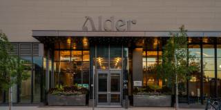 Alder at Allston Yards Gallery 43