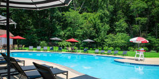Atlantic Pointe Apartments Gallery 2