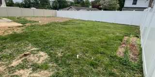 Beautiful brand new 4 bed 2 bath for Rent single home with yard in Levittown Gallery 10
