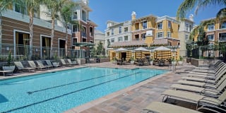 The Verdant The Verdant Gallery 6