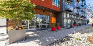 Koi Apartments Gallery 16