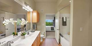 Avanti Hills at the Galleria Gallery 10