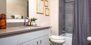 Sunshine Apartments Gallery 6